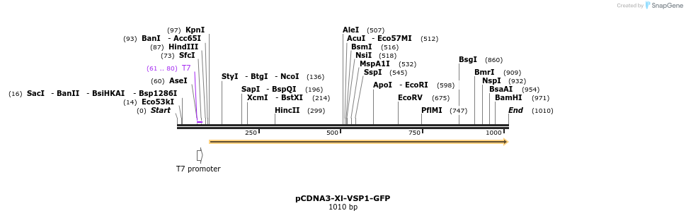 81216_map