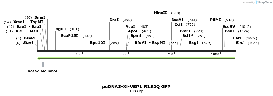81219_map