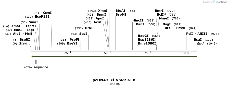 81220_map