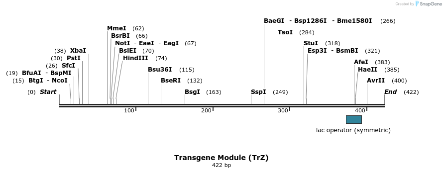 81225_map