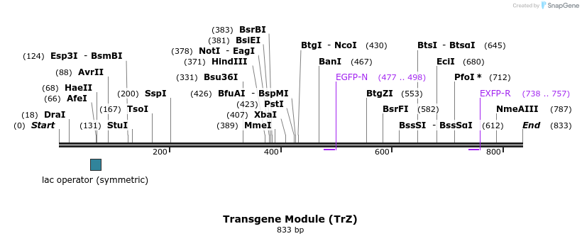 81226_map