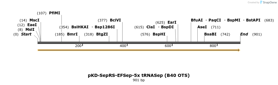 81227_map