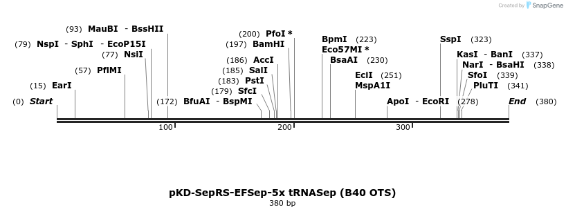 81235_map