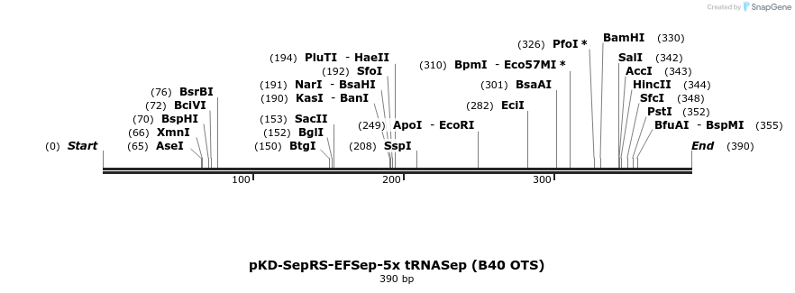 81236_map