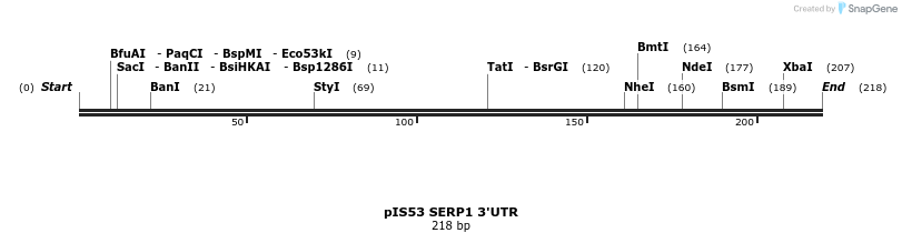 8124_map