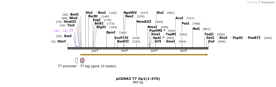 81241_map