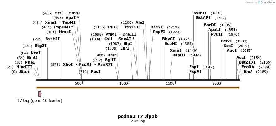 81243_map
