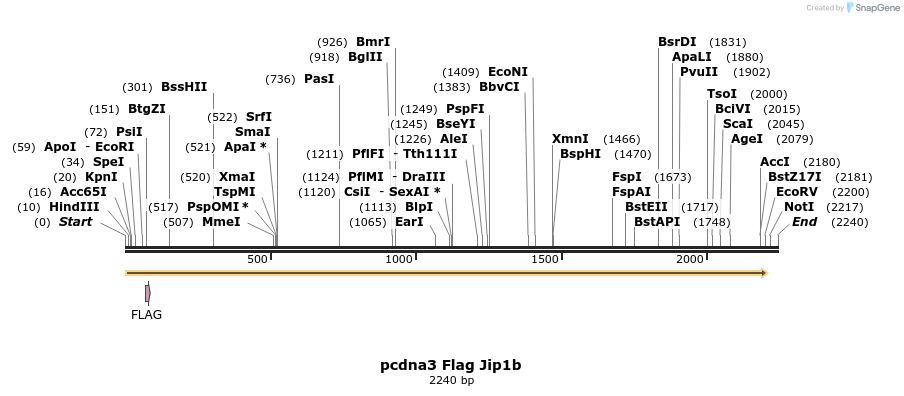 81244_map