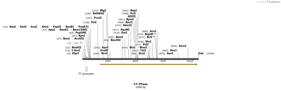 81248_map