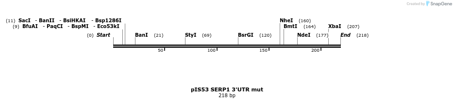 8125_map