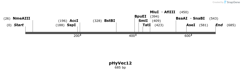 81253_map