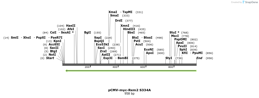 81256_map
