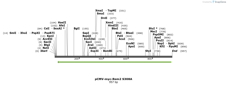 81259_map