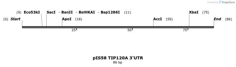 8126_map