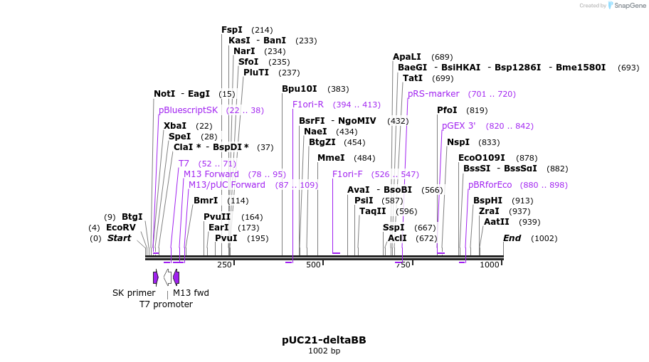 81268_map