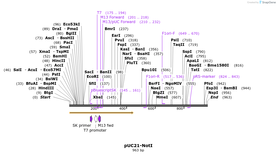 81269_map