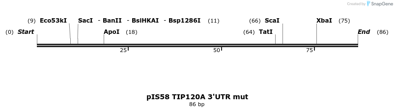 8127_map
