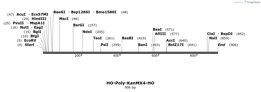 81271_map