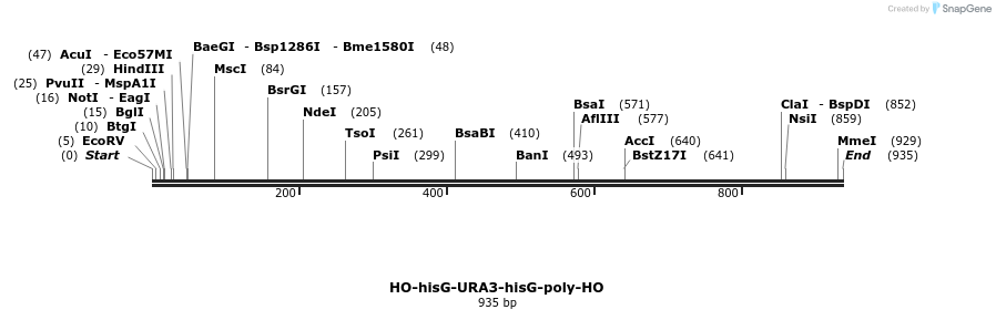 81272_map