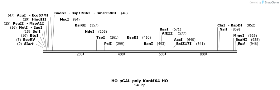 81273_map