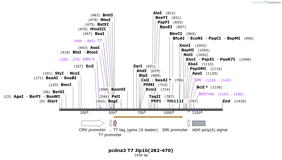 81279_map