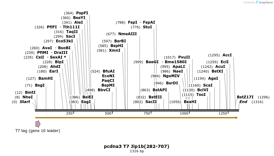 81280_map