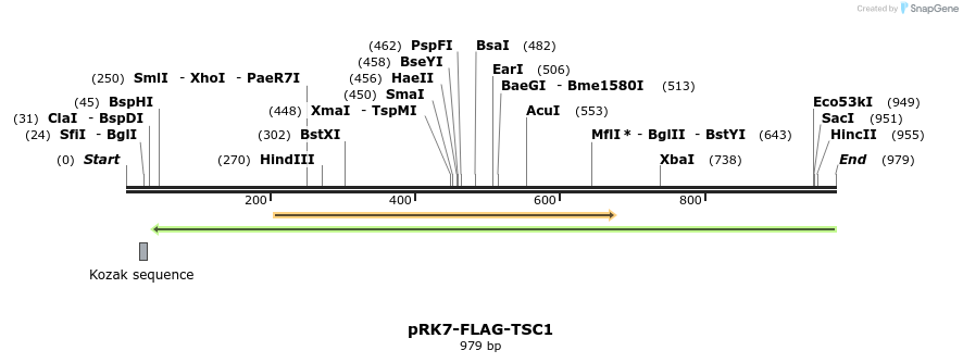 81282_map