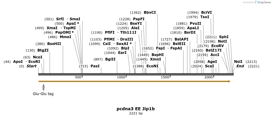 81283_map
