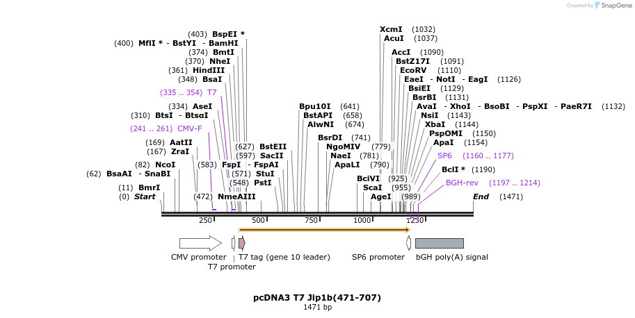 81284_map