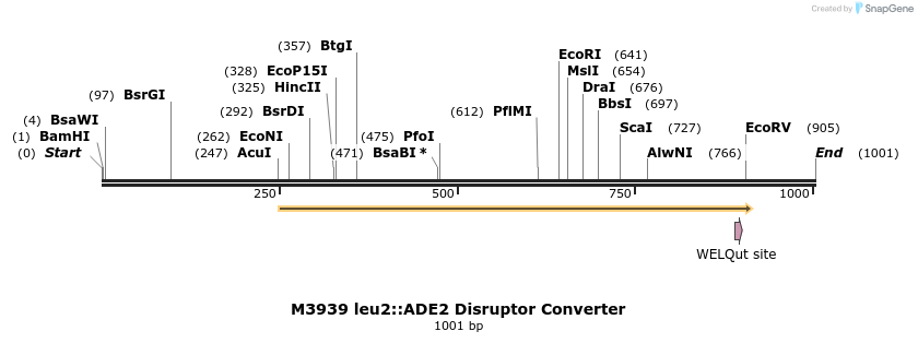 81285_map