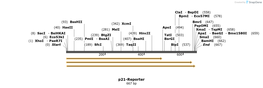 81286_map