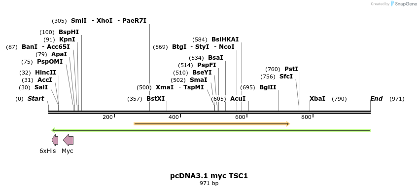 81287_map