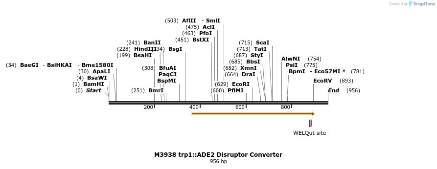 81288_map