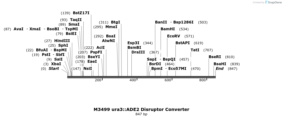 81289_map