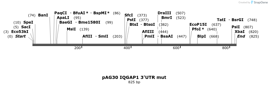 8129_map