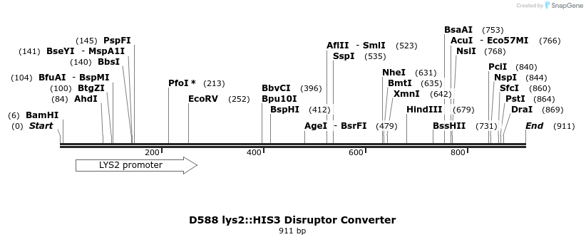81290_map