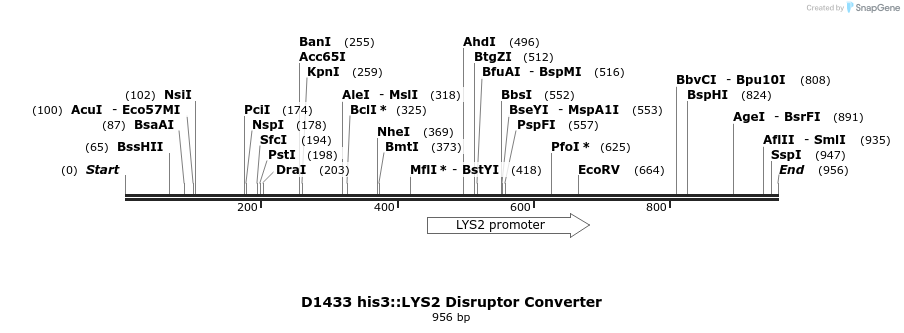 81291_map