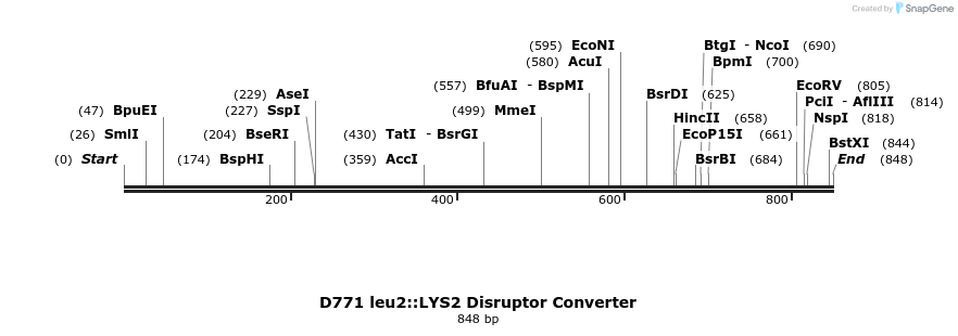 81292_map