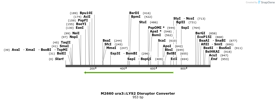 81293_map