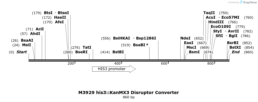 81294_map