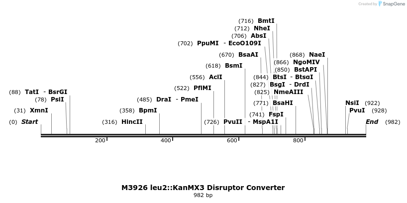 81295_map