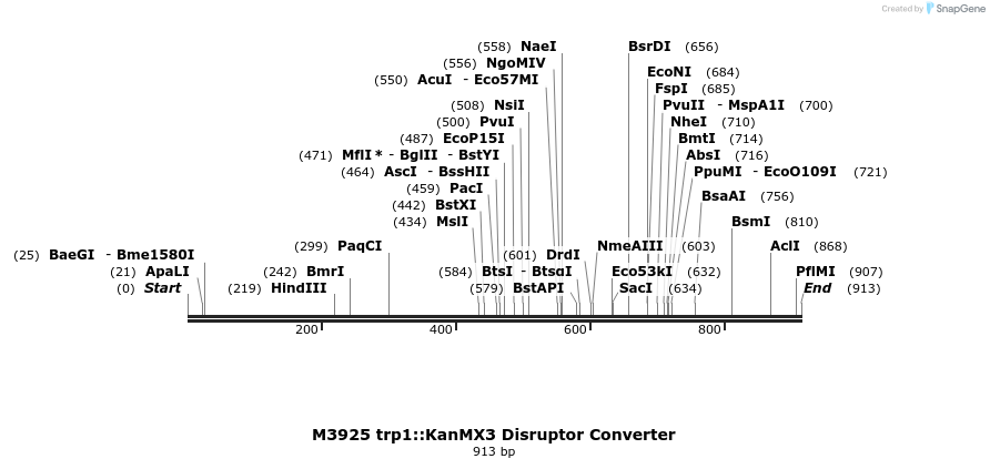 81296_map