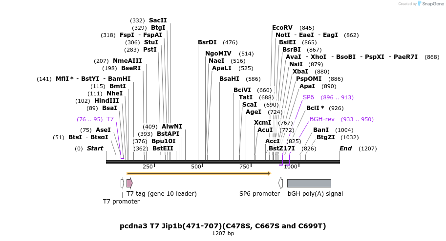 81298_map