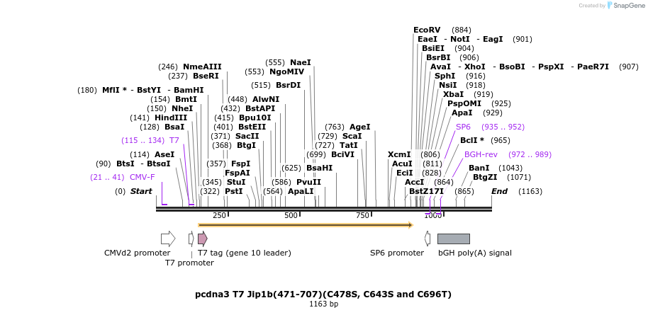 81299_map