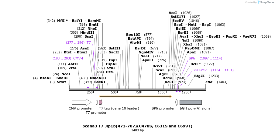 81300_map