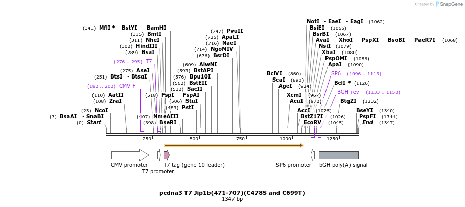 81301_map