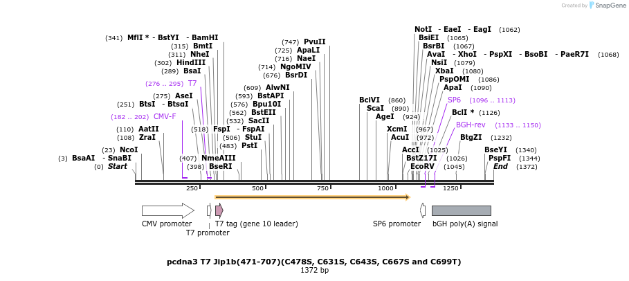 81302_map