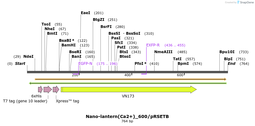 81303_map
