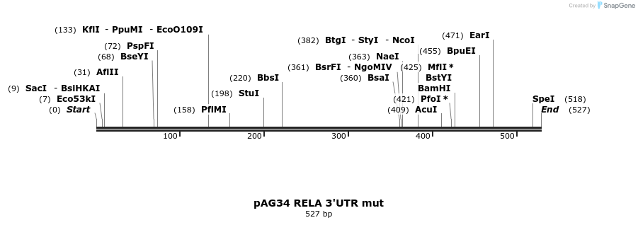8131_map