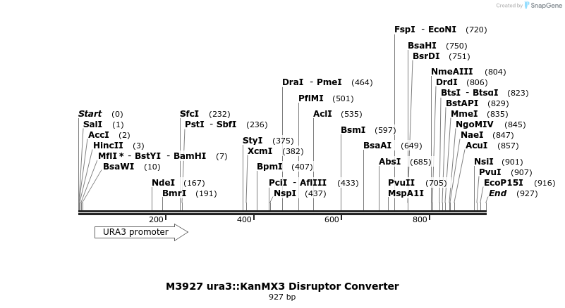 81310_map